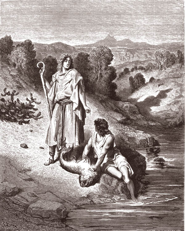 LANGELO E TOBIA tobia 6,4
